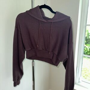 Aritzia tna super crop hoodie in brown